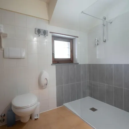 Alpine Forest Champoluc