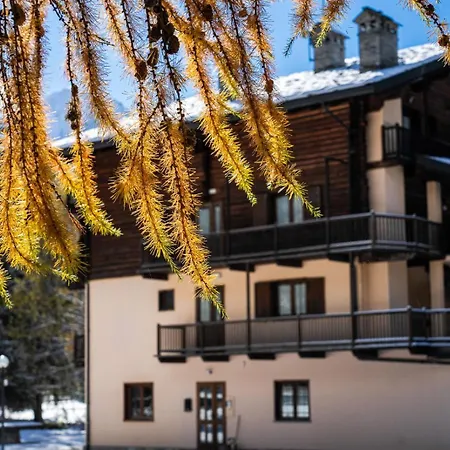 Hotel Alpine Forest & Restaurant
