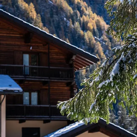 Alpine Forest Hotel&restaurant Champoluc