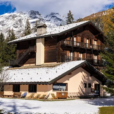 Alpine Forest Champoluc