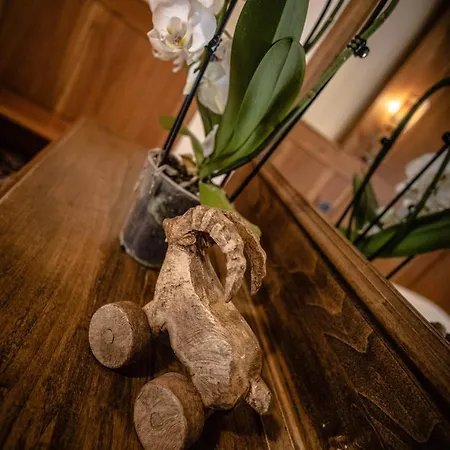 Alpine Forest & Restaurant 3*
