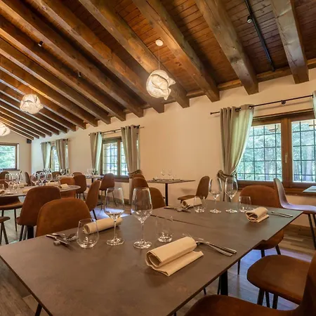 Alpine Forest & Restaurant 3*