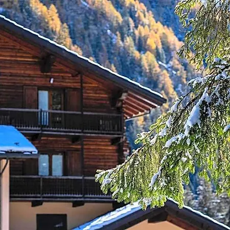 Otel Alpine Forest & Restaurant Champoluc
