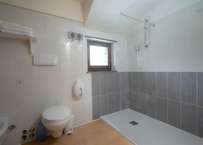 Alpine Forest Champoluc