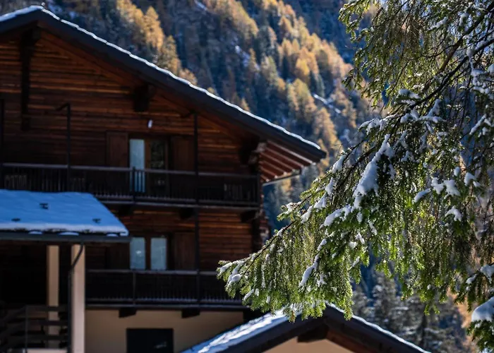 Alpine Forest Champoluc